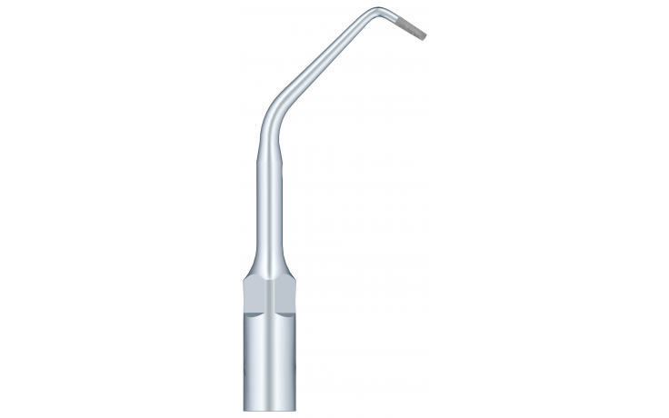 Used For Root Canal Retrogression Efficient Root Apical Polishing E10D
