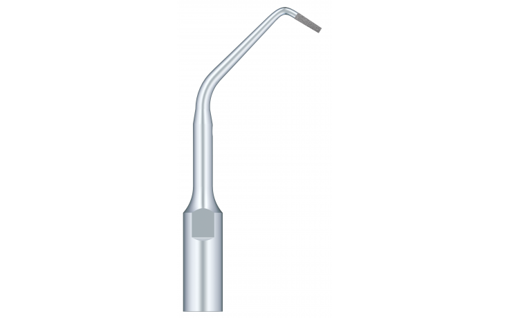 Used For Root Canal Retrogression Efficient Root Apical Polishing ED10D